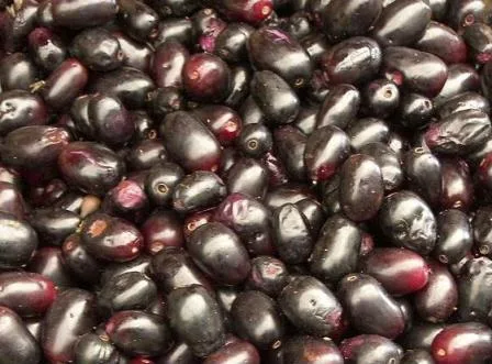 Jamun