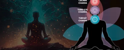 Nourish the neuromuscular system