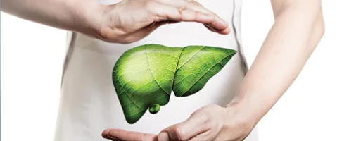 Improves Liver Health