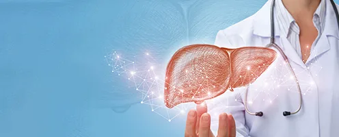 May help Regenerate Liver Cells