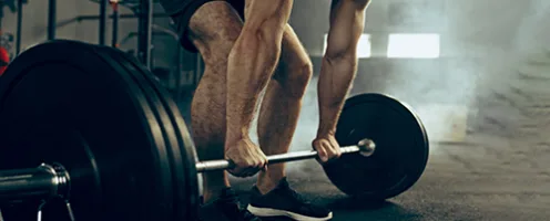 Gain Muscle & Strength