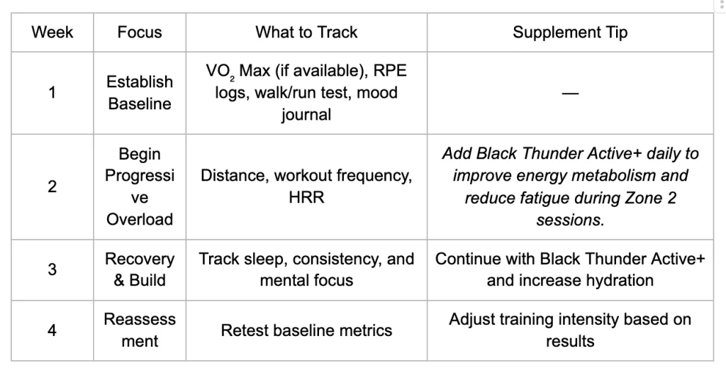 4 Week Stamina tracking plan