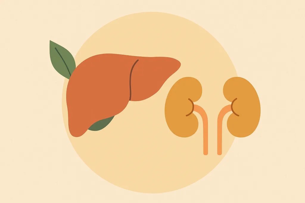 Why Liver and Kidney Health Matters