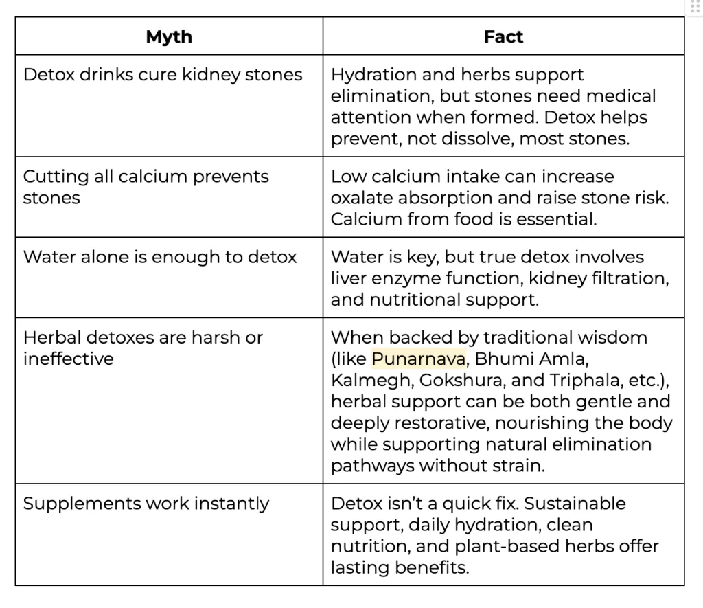 Myth vs Fact: Clearing the Detox Confusion