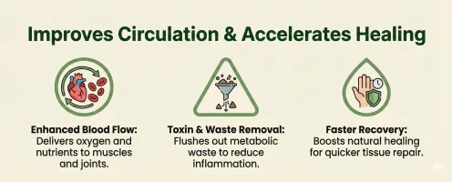 Improves Circulation & Accelerates Healing